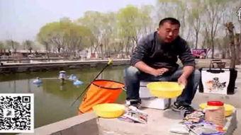 老化钓鱼视频大全,老视频中的钓鱼技巧与智慧