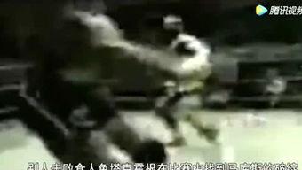 黑市拳视频,生死较量背后的残酷真相