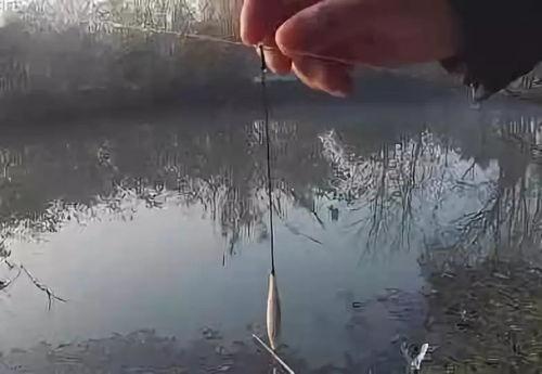 钓鱼看漂技巧视频