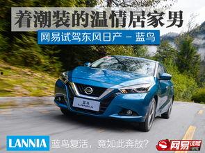 试驾日产新蓝鸟视频